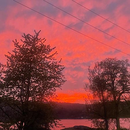 Hyttelaven Pa Furuholmen Sarpsborg Dış mekan fotoğraf