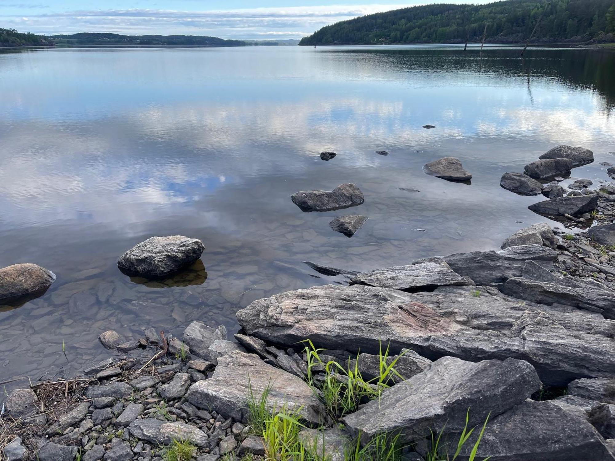 Hyttelaven Pa Furuholmen Sarpsborg Dış mekan fotoğraf
