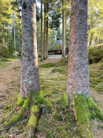 Hyttelaven Pa Furuholmen Sarpsborg Dış mekan fotoğraf
